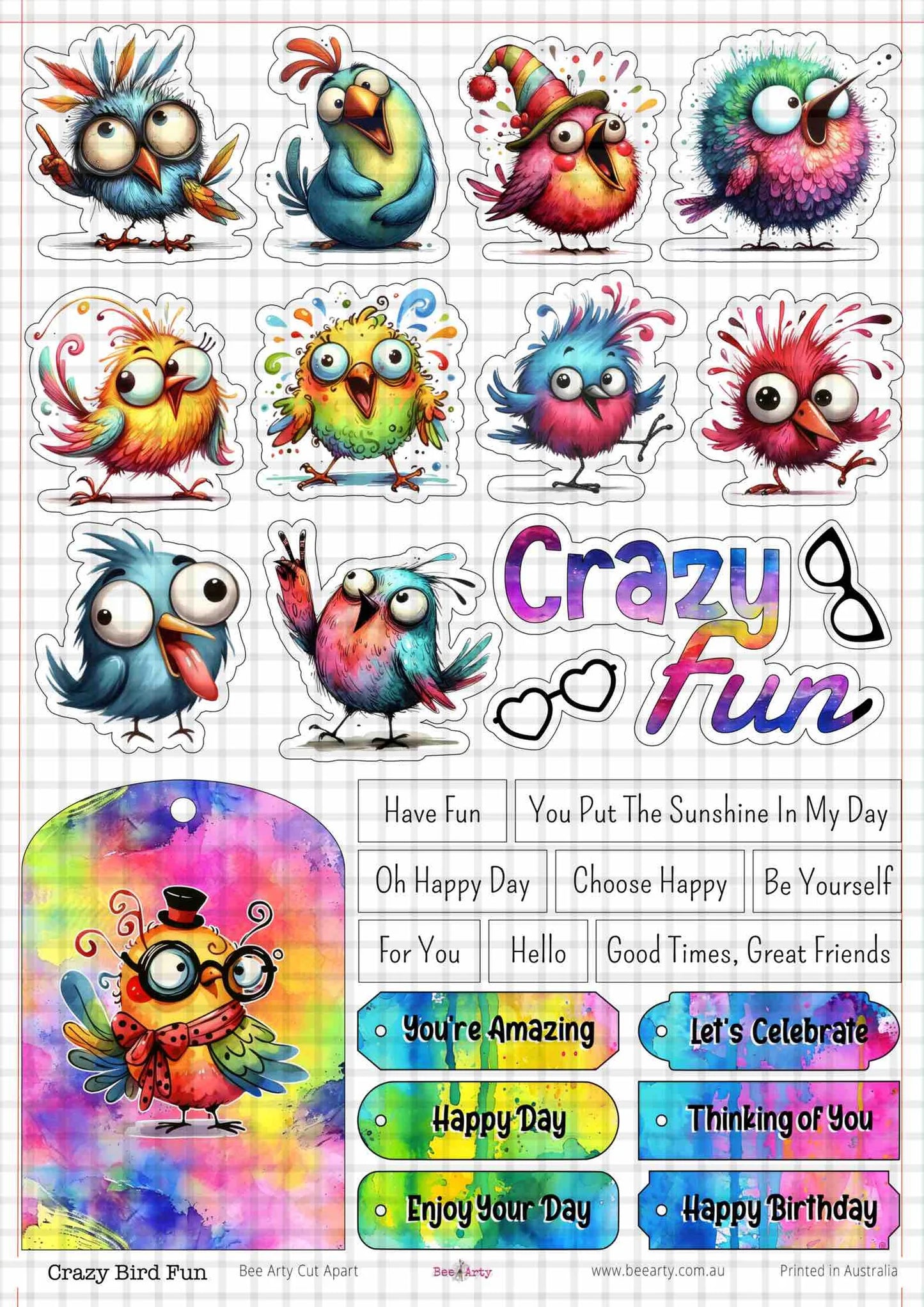 A4 Cut Apart - Assorted - Crazy Bird Fun