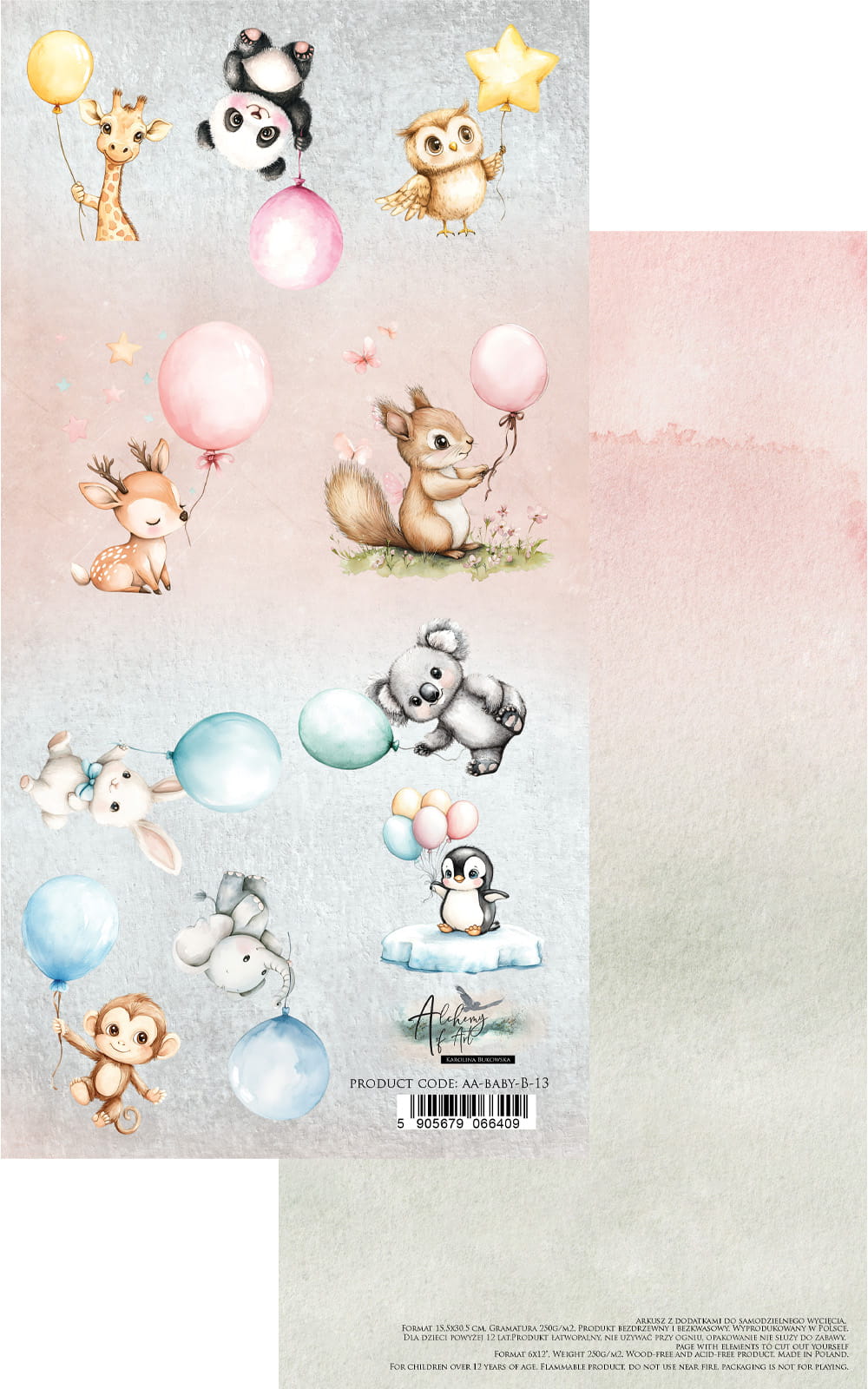 The Baby Scrapbooking Accessory Set 6x12