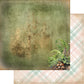 Friends of the Forest 6x6 paper pack