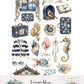 Ocean blue 6x12-' Accessory Set