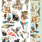 Wild adventures Scrapbooking Add-on Set 6X12