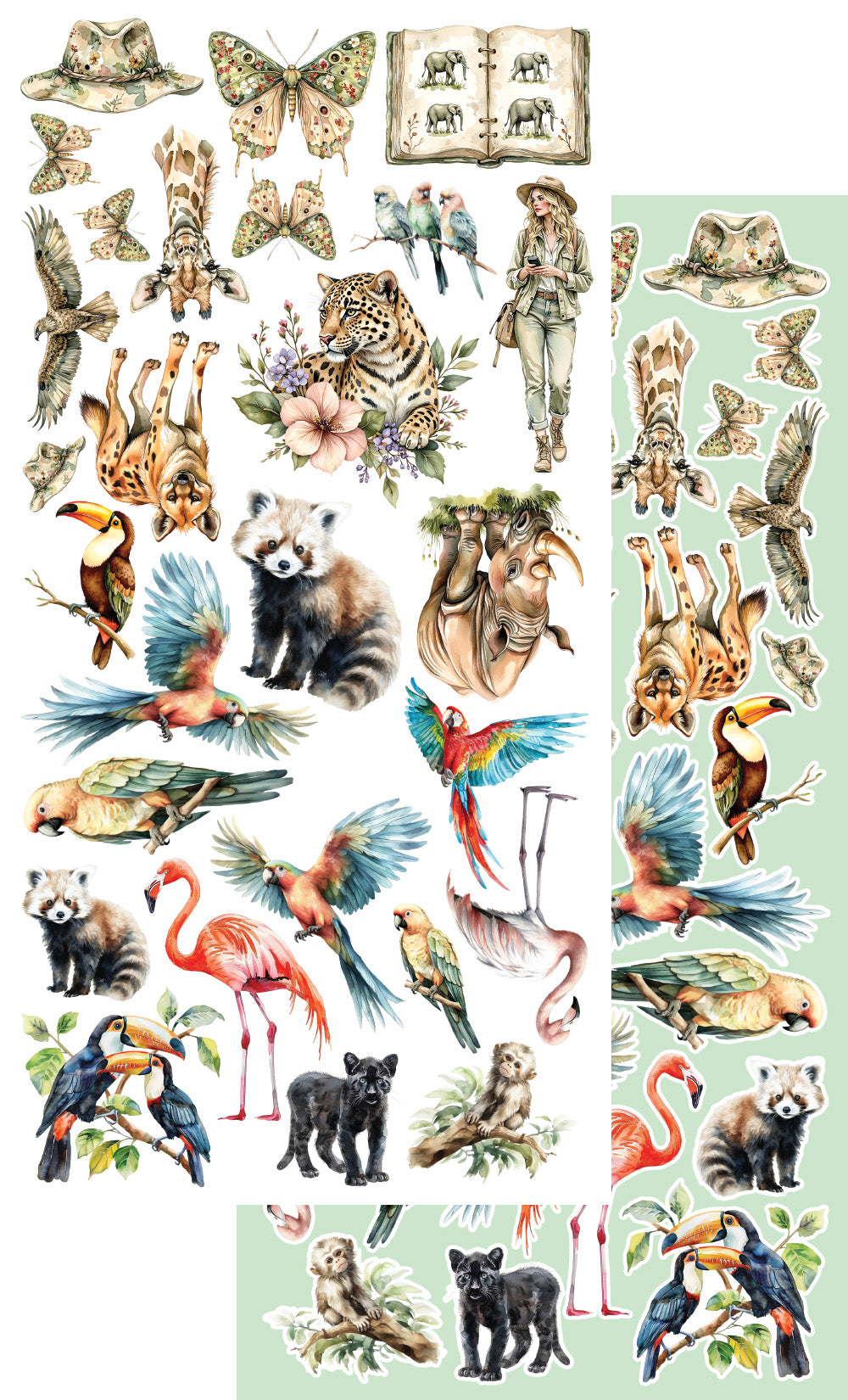 Wild adventures Scrapbooking Add-on Set 6X12