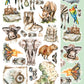 Wild adventures Scrapbooking Add-on Set 6X12
