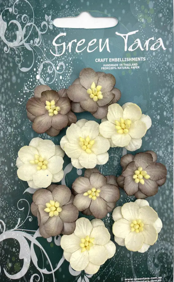 10 Cherry Blossoms, Cream and Mushroom