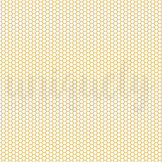 12 x 12 Honeycomb Foil Acetate