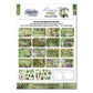 Magic Vines 6x4- September Release