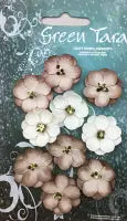 Pack 10 Cherry Blossoms, Mushroom Tones
