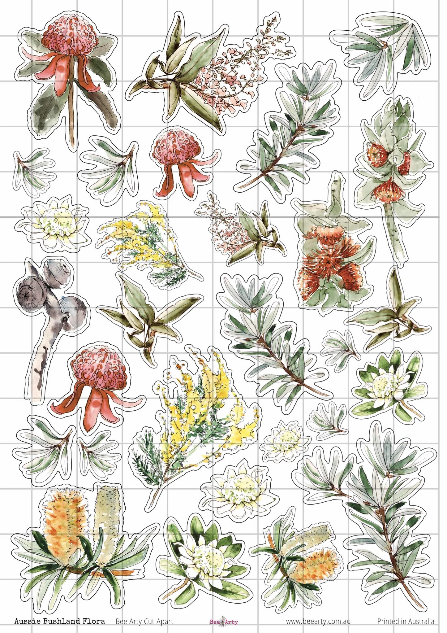 A4 Cut Apart - Assorted - Aussie Bushland Flora