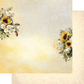 Sweet as Honey 12x12 Paper Collection