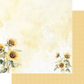 Sweet as Honey 12x12 Paper Collection